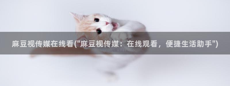 麻豆专区在线：麻豆视传媒在线看(\