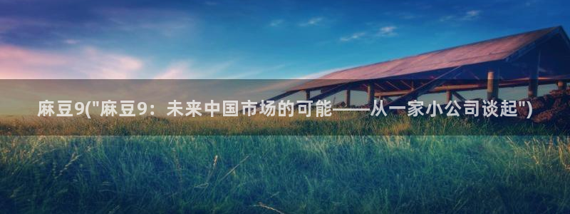 麻豆全集：麻豆9(\