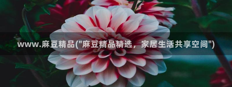 麻豆精品社区：www.麻豆精品(\