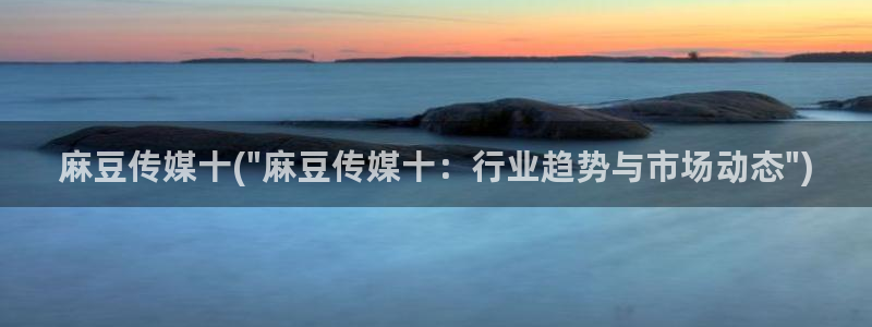 sepapa麻豆专区：麻豆传媒十(\