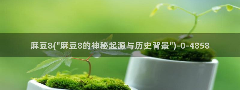 麻豆专区：麻豆8(\