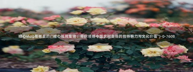 国产传媒糖心vlog