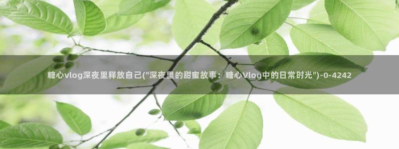 糖心vlog网：糖心vlog深夜里释放自己(\