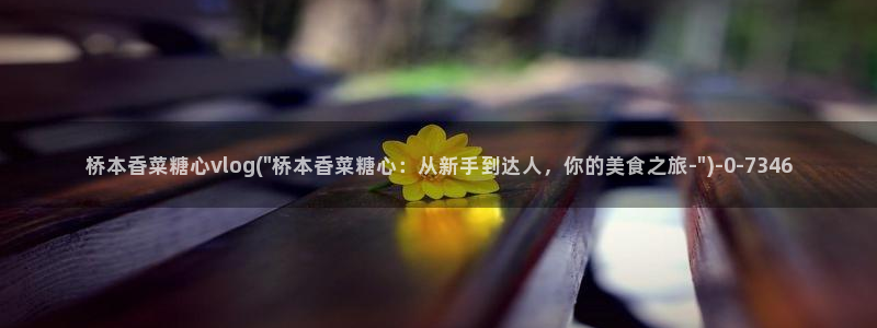 糖心vlog破解视频