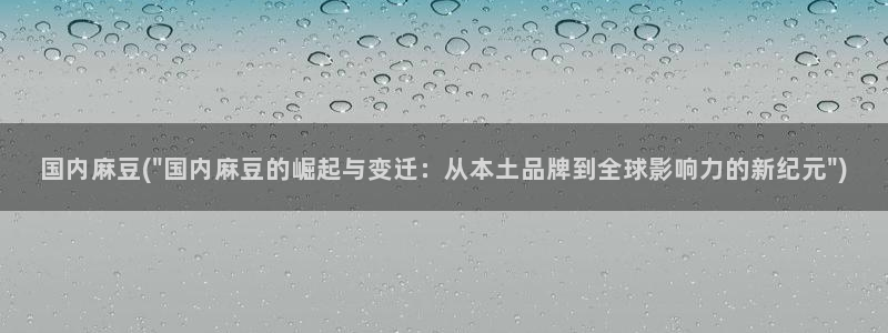 麻豆区：国内麻豆(\