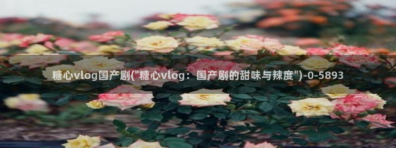 心糖vlog免费版在线观看免费