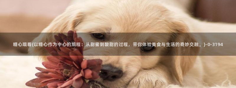糖心vlog在线观看国产h