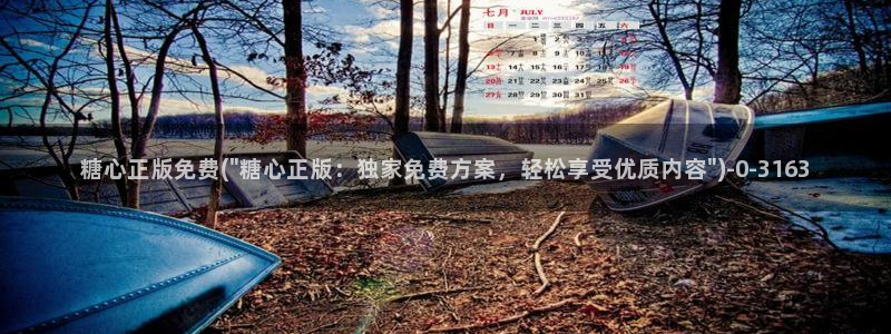 糖心在线观看vlog