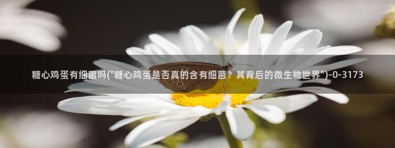 心糖vlog