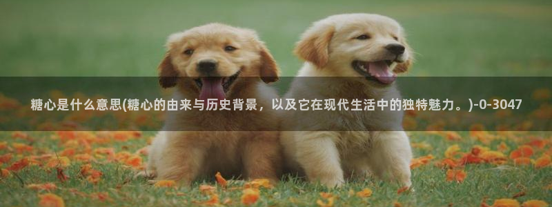 51糖心vlog破解版