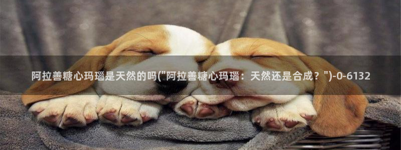 糖心vlog演员哪个好看