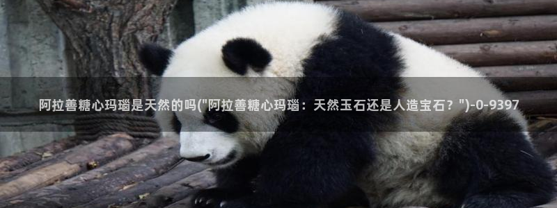 糖心vlog入口网站