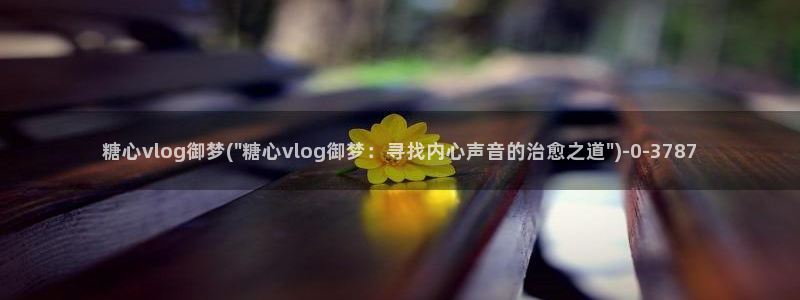 糖心vlog官网破解版