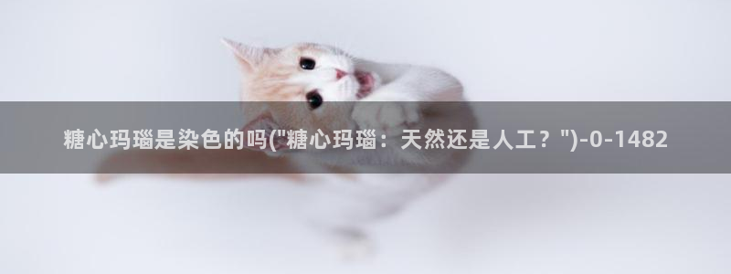 糖心vlog抢先版